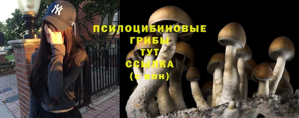 кокс Алексин